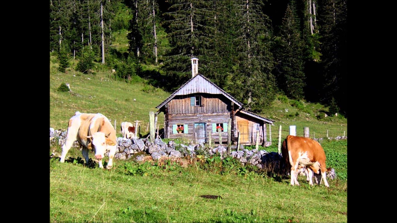 Hubert von Goisern_Von der hohen Alm.wmv