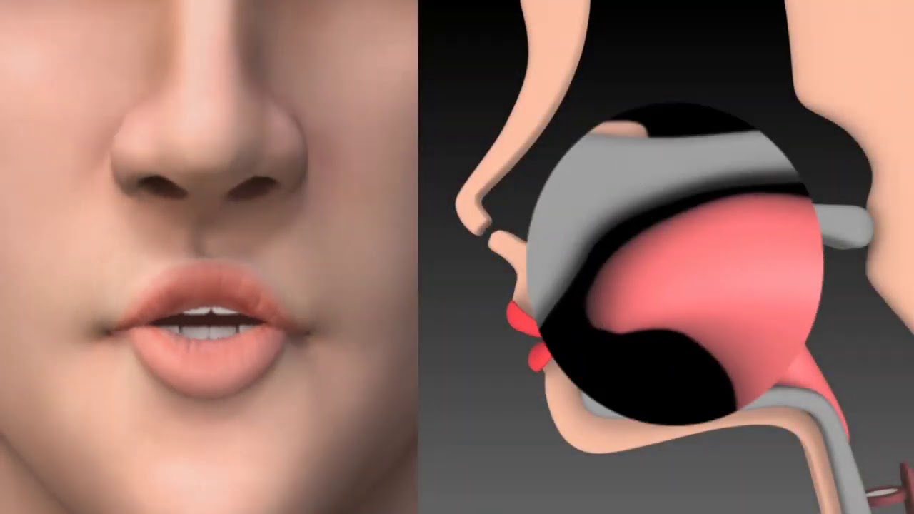 sound ʃ part 1