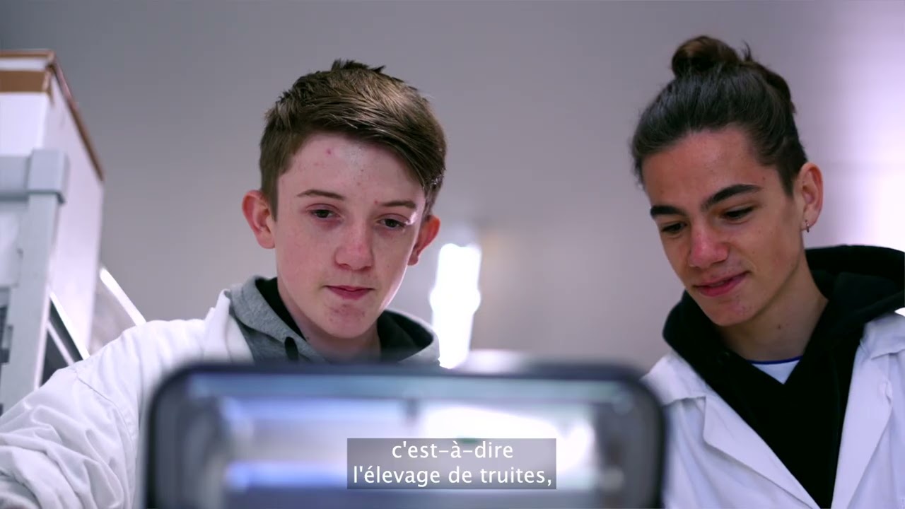 À la découverture de la pisciculture de truite en France