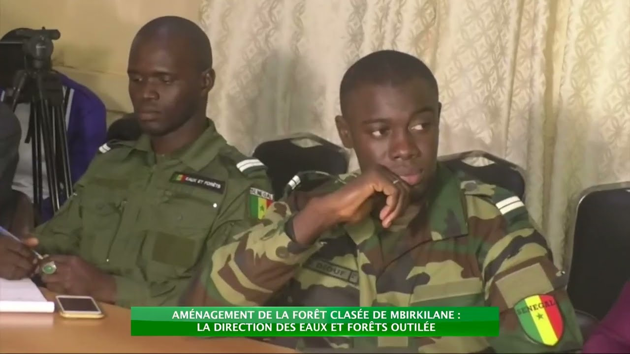 Aménagement de la forêt classée de Mbirkilane : la direction des eaux et forêts outillée