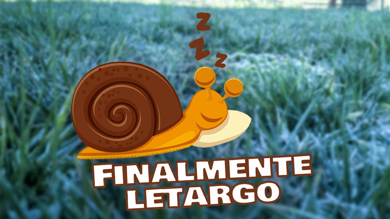 Finalmente in Letargo - Le chiocciole sono tutte sotto terra!