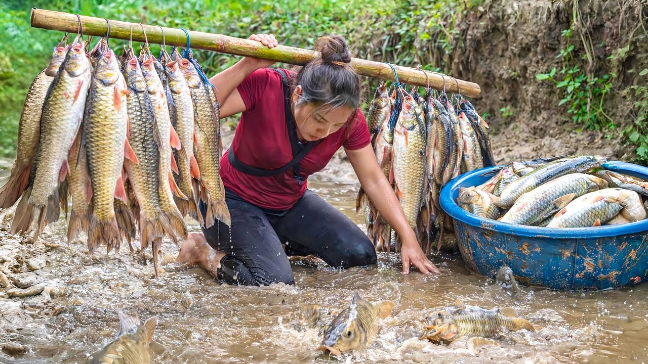 Amazing fish catching skills: Hand-catching 1500+ wild carp in creek for market sale with family