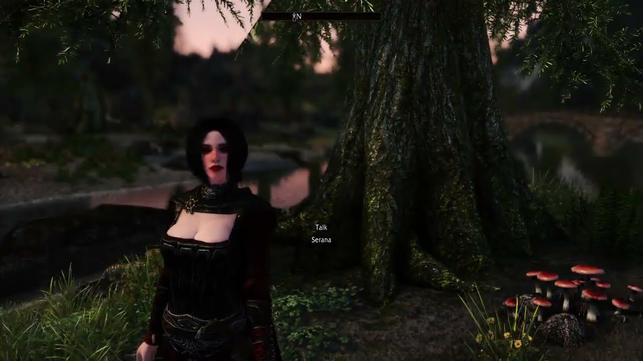 Skyrim -  Serana Dialogue Add-on - (SDA MOD) -  Playthrough - 19 (SDA Dialogues)
