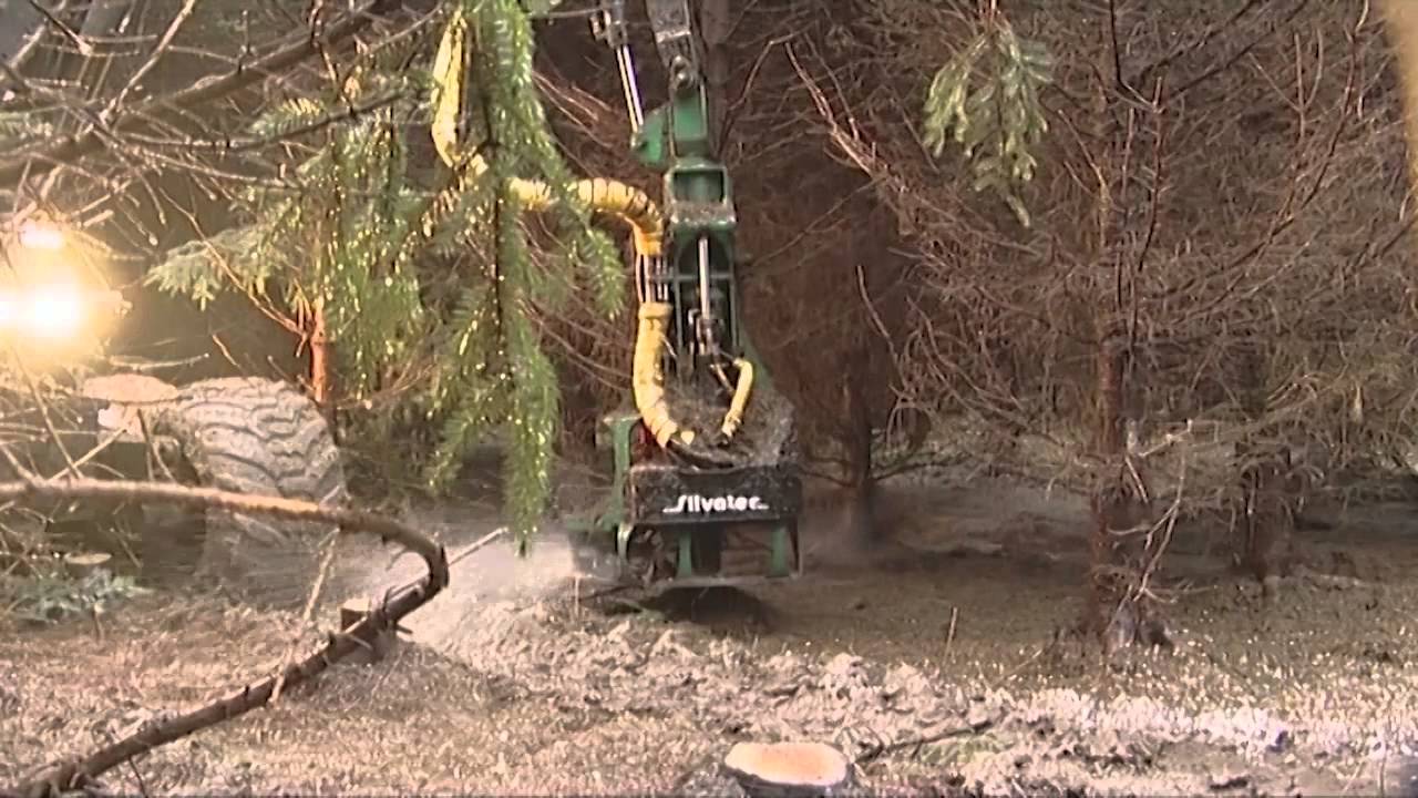 06   Whole Tree Thinning 2