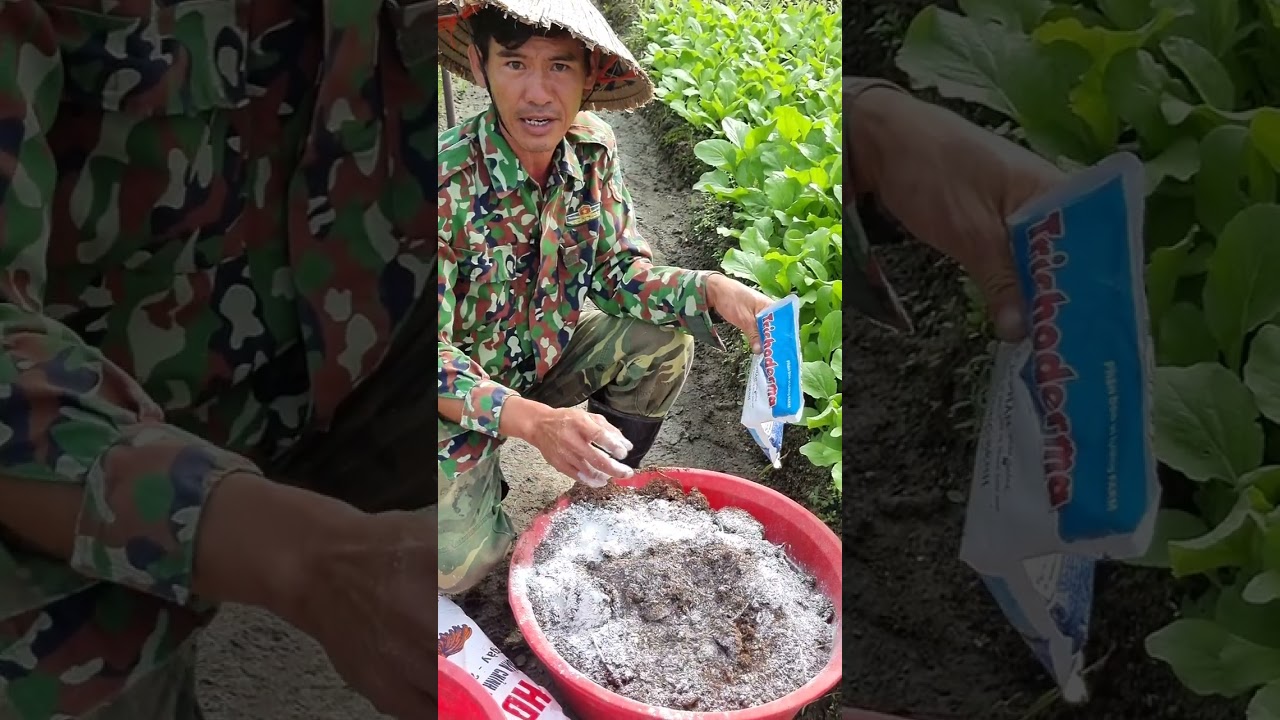 Tự ủ phân hửu cơ tại nhà