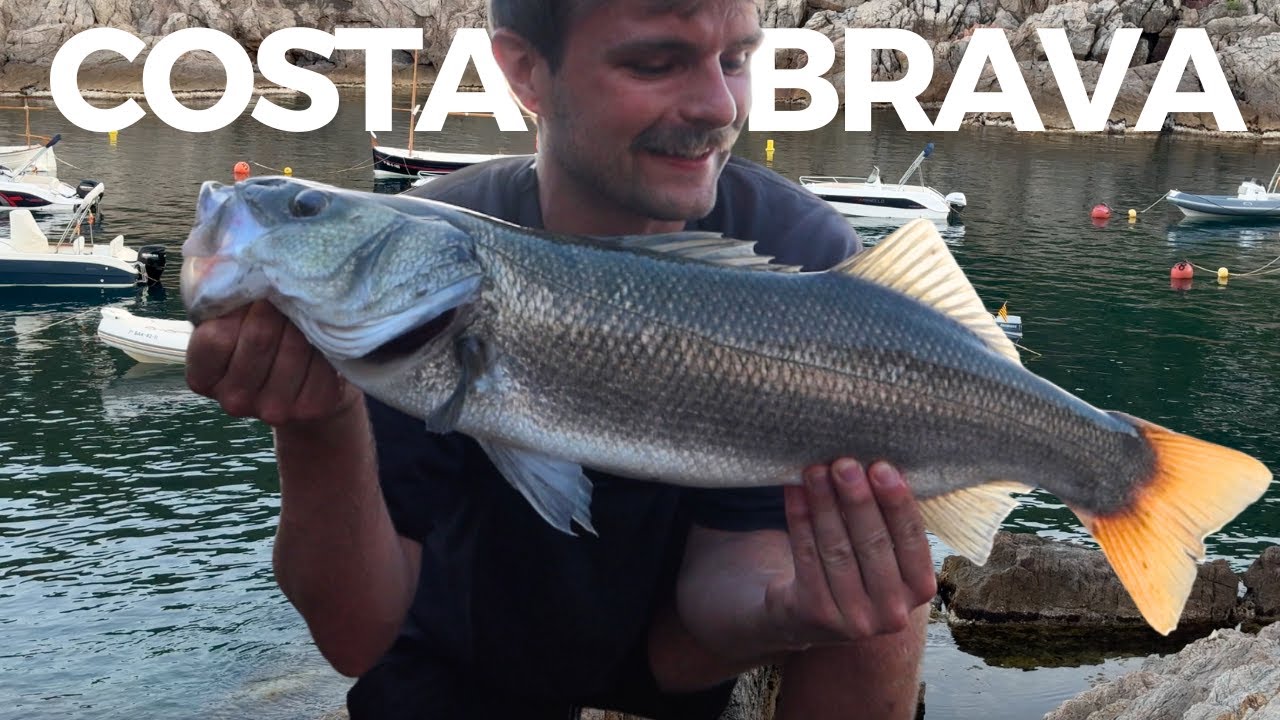 Multi-species rock fishing challenge with a BIG topwater surprise