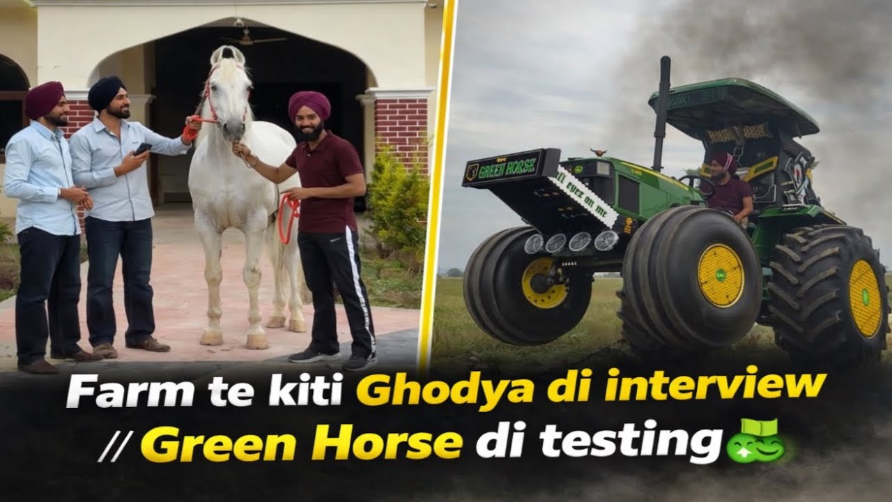 Aj FARM te kiti Ghodya di Interview🐎//GREEN HORSE di Platea di testing⛳️