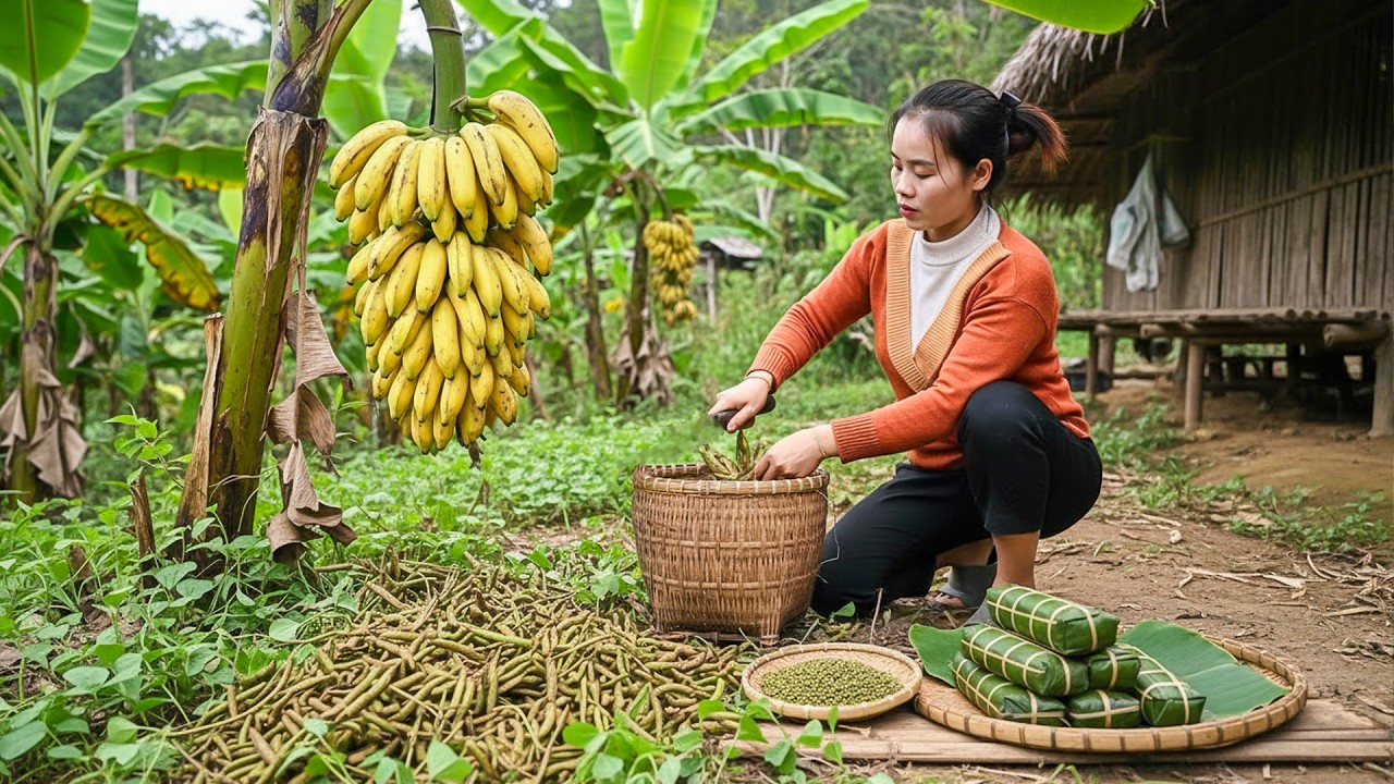 Harvesting Bananas & Mung Beans from Garden, Making Sticky Rice Cakes for Market Sale