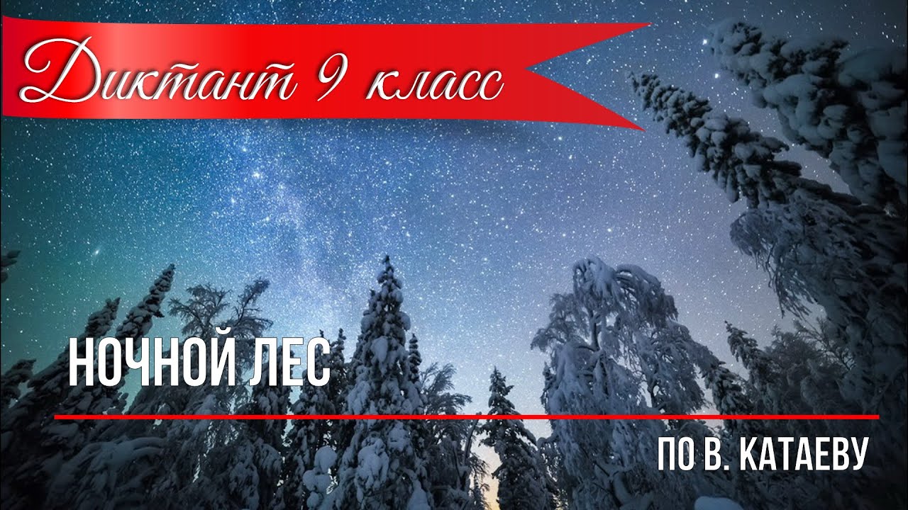 Диктант по русскому языку с проверкой! 9 класс.  Ночной лес