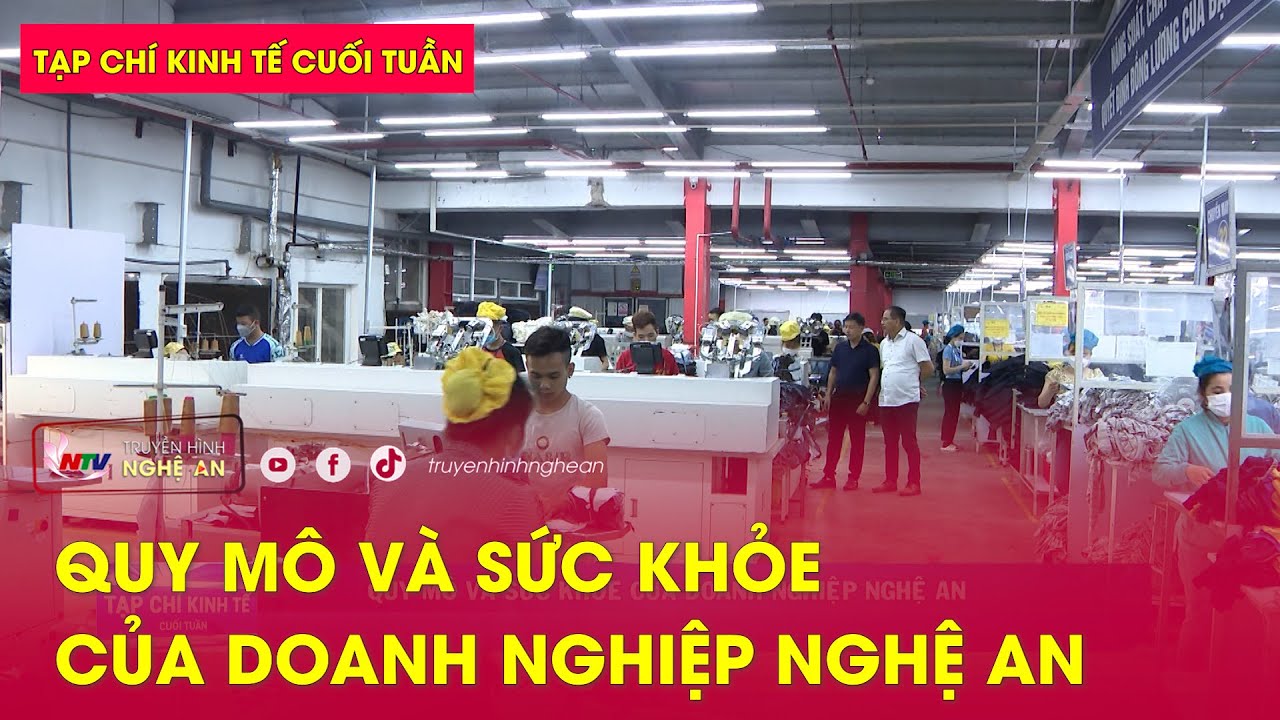 Tạp chí kinh tế cuối tuần: Quy mô và sức khỏe của Doanh nghiệp Nghệ An