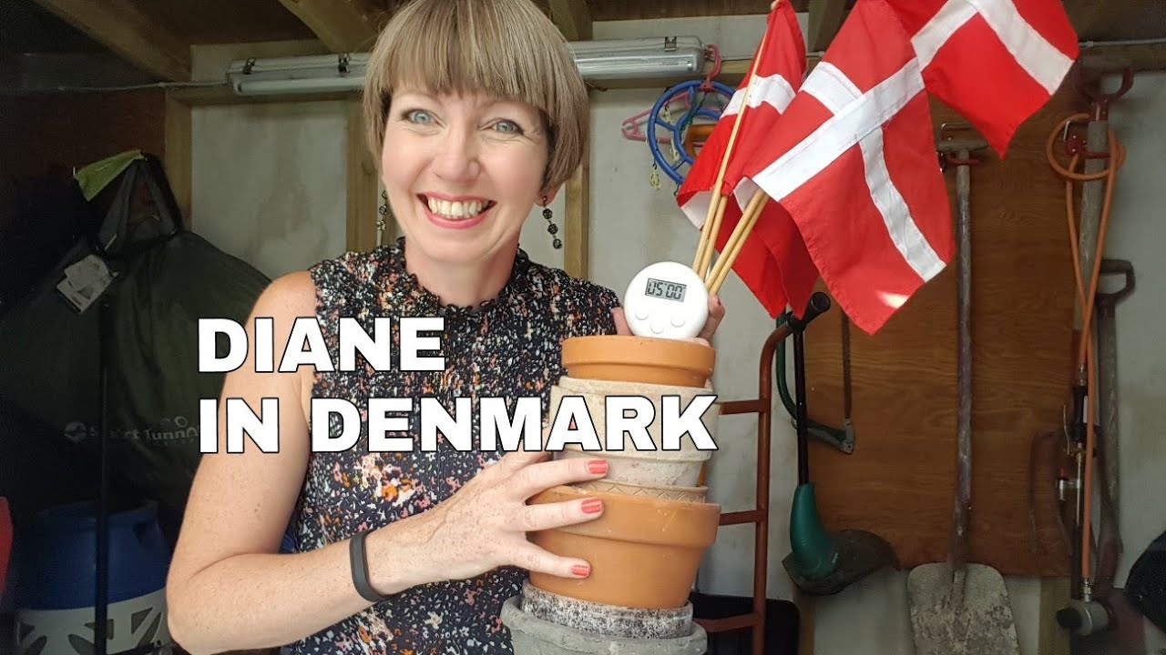 15 minute declutter in Flylady Zone 3 (our garden shed)!