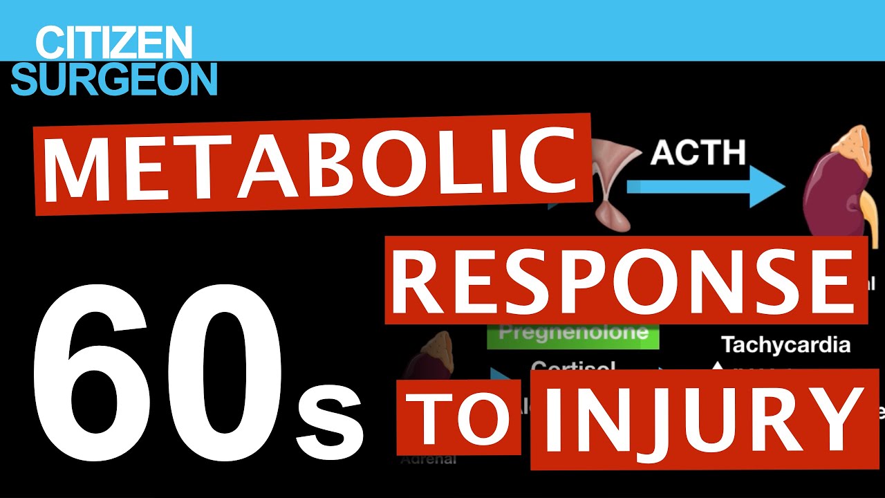 Metabolic Response to Injury in 60s 