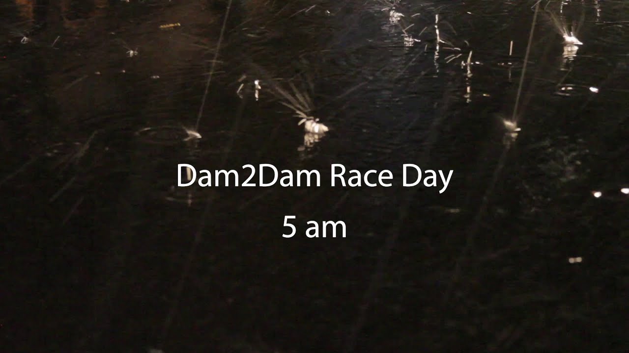 Delivery and setup of 335 Porta Potties for Dam2Dam Half Marathon - Bob's Premium Privies