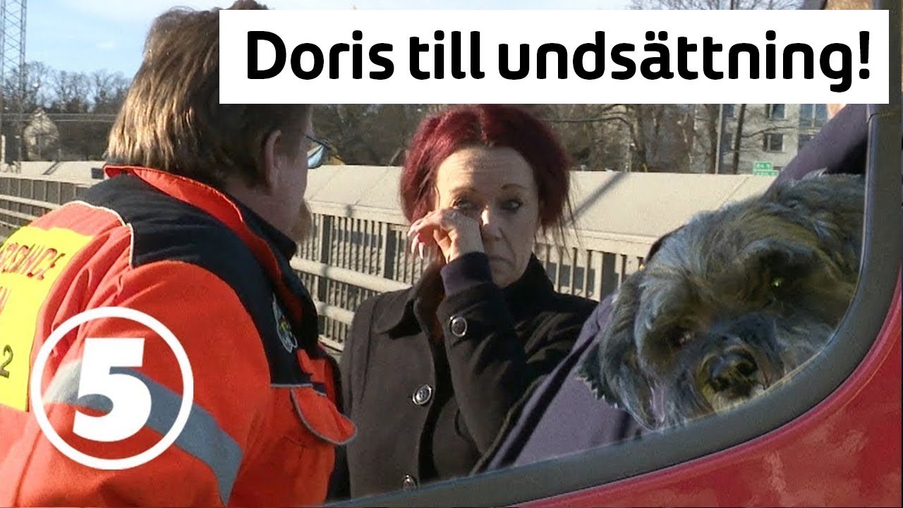 V&auml;gens hj&auml;ltar | Berra och hunden Doris hj&auml;lper chockad kvinna efter krasch