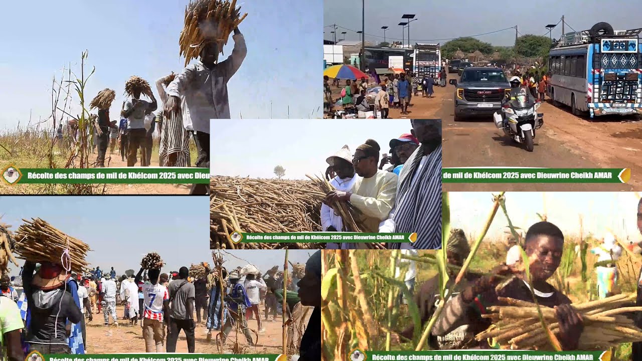 Intégralité khélcom 2025 avec Dieuwrine  Cheikh Amar
