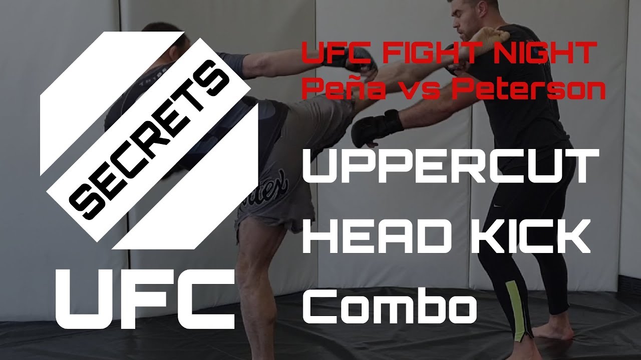 Counter Jab Lead Uppercut & HEAD KICK Combo For MMA From Luis Peña