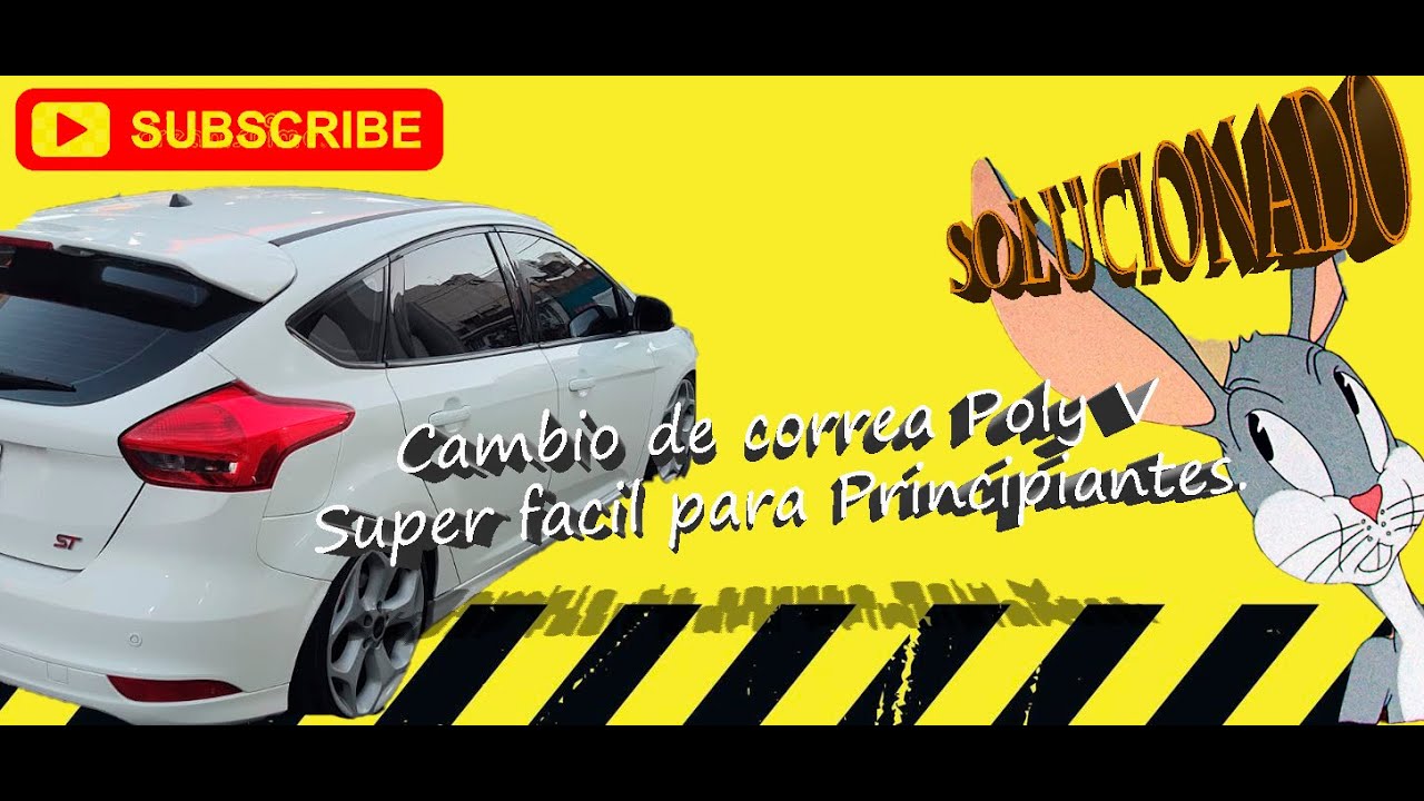 Cambio de correa Poly V en Focus MK3 2.0 | Paso a paso.