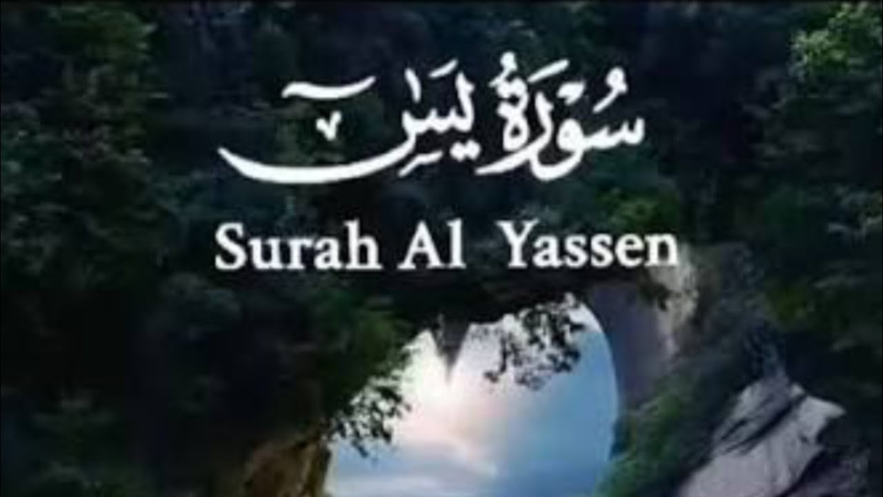 Beautiful voice Surah Yaseen| Peaceful. Tilawat|AlQuran Zee 