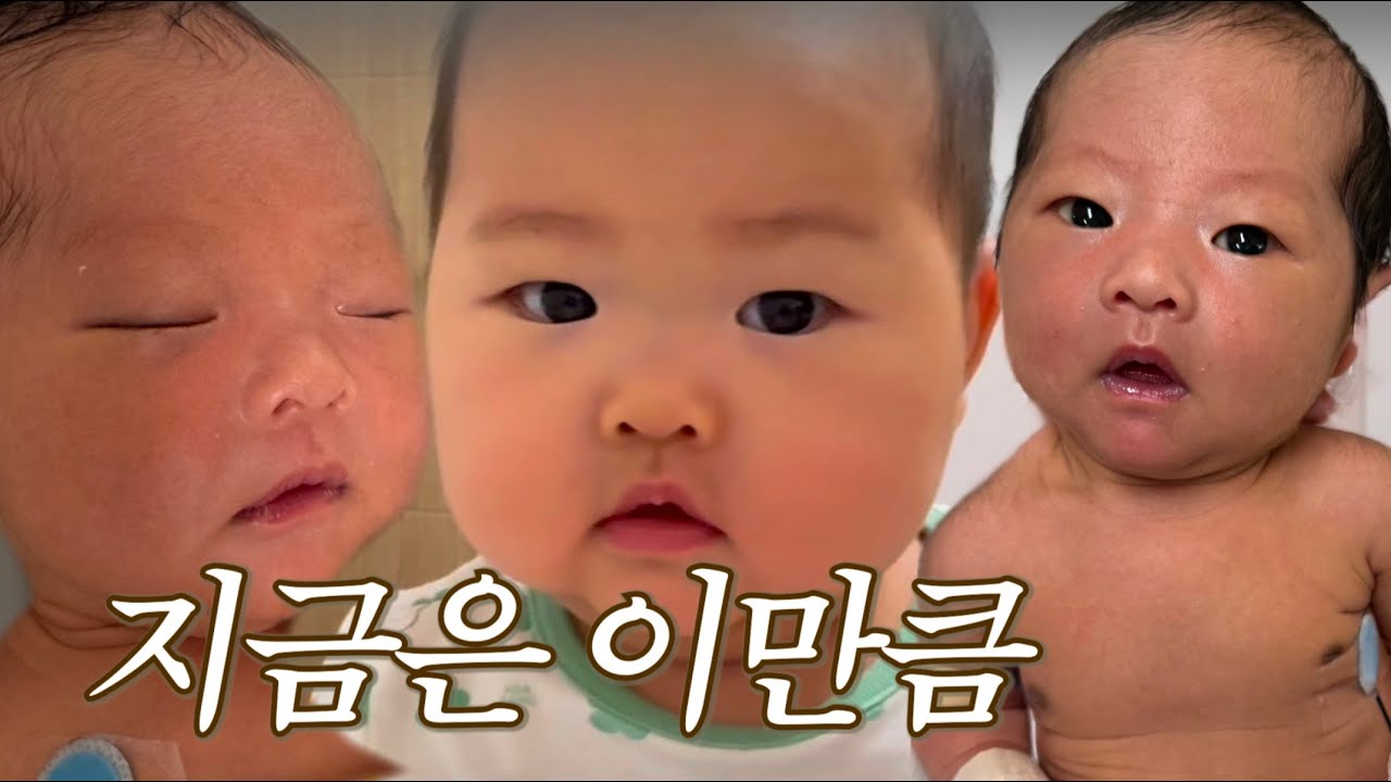 [VLOG] 조금씩 단단해지는 시간들 | 6개월 아기 일상 & 이유식 브이로그