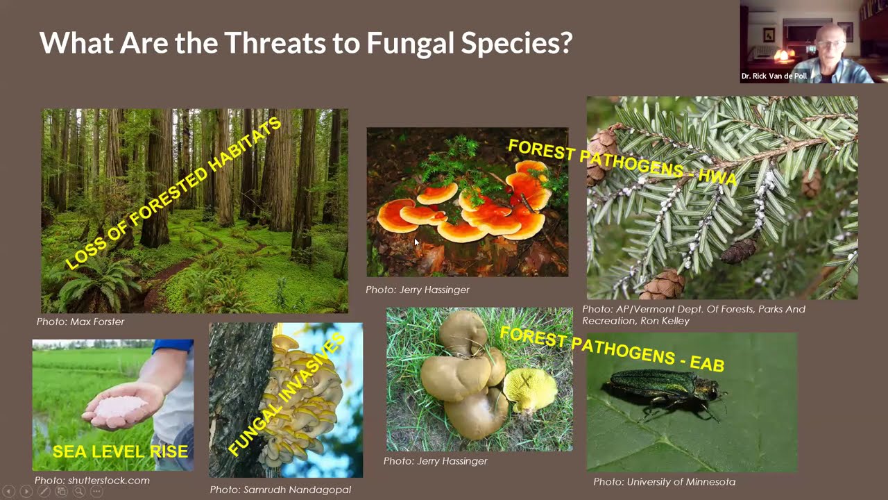 How to Recognize and Conserve Rare Fungi in Your State/ProvinceA Webinar by Dr. Rick Van de Poll
