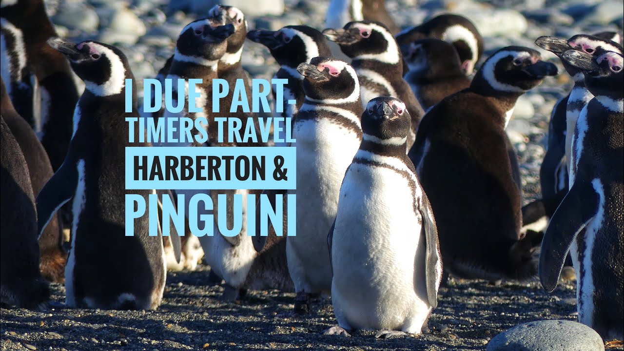 Estancia Harberton & pinguini terra del fuoco