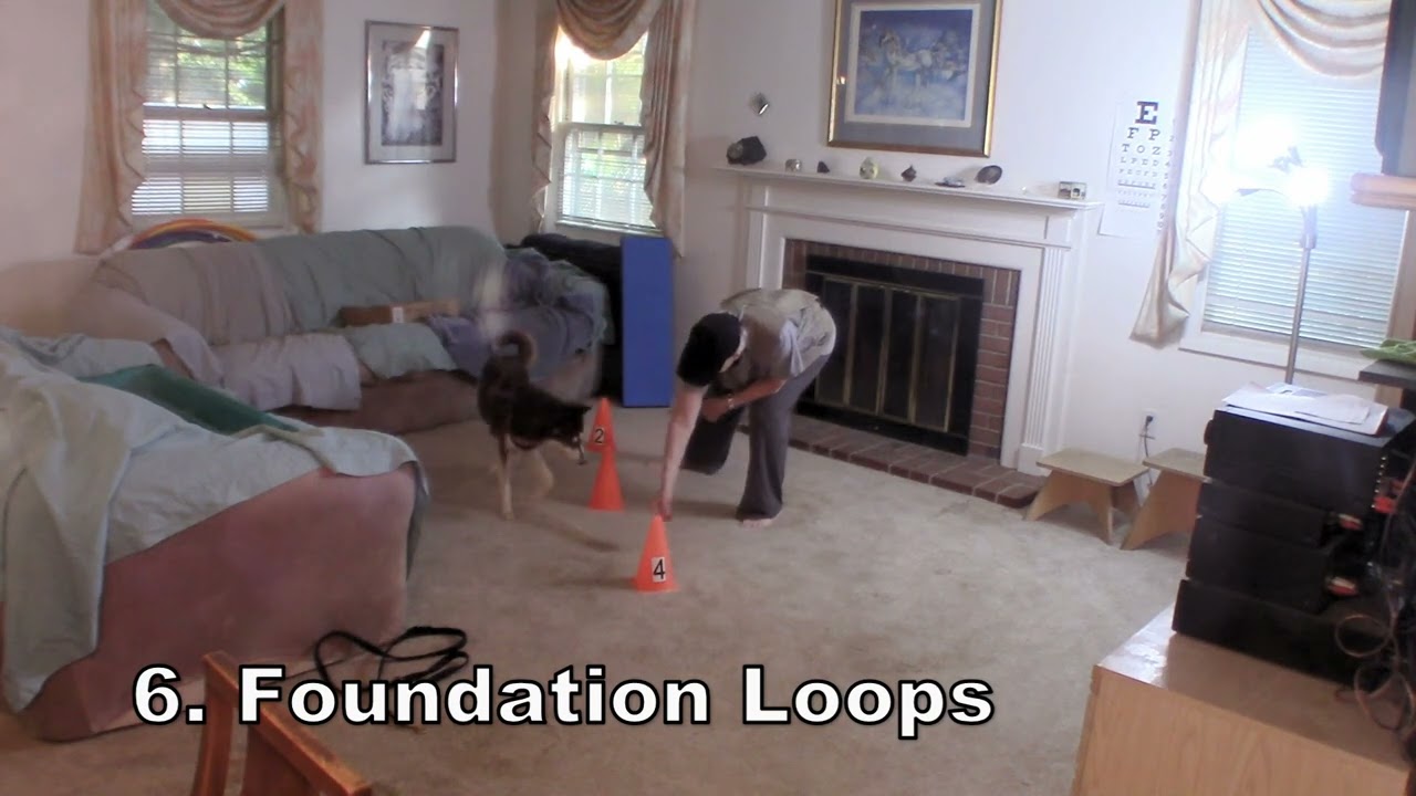 Glory - All Dogs Parkour - Foundation Skills, Level 2
