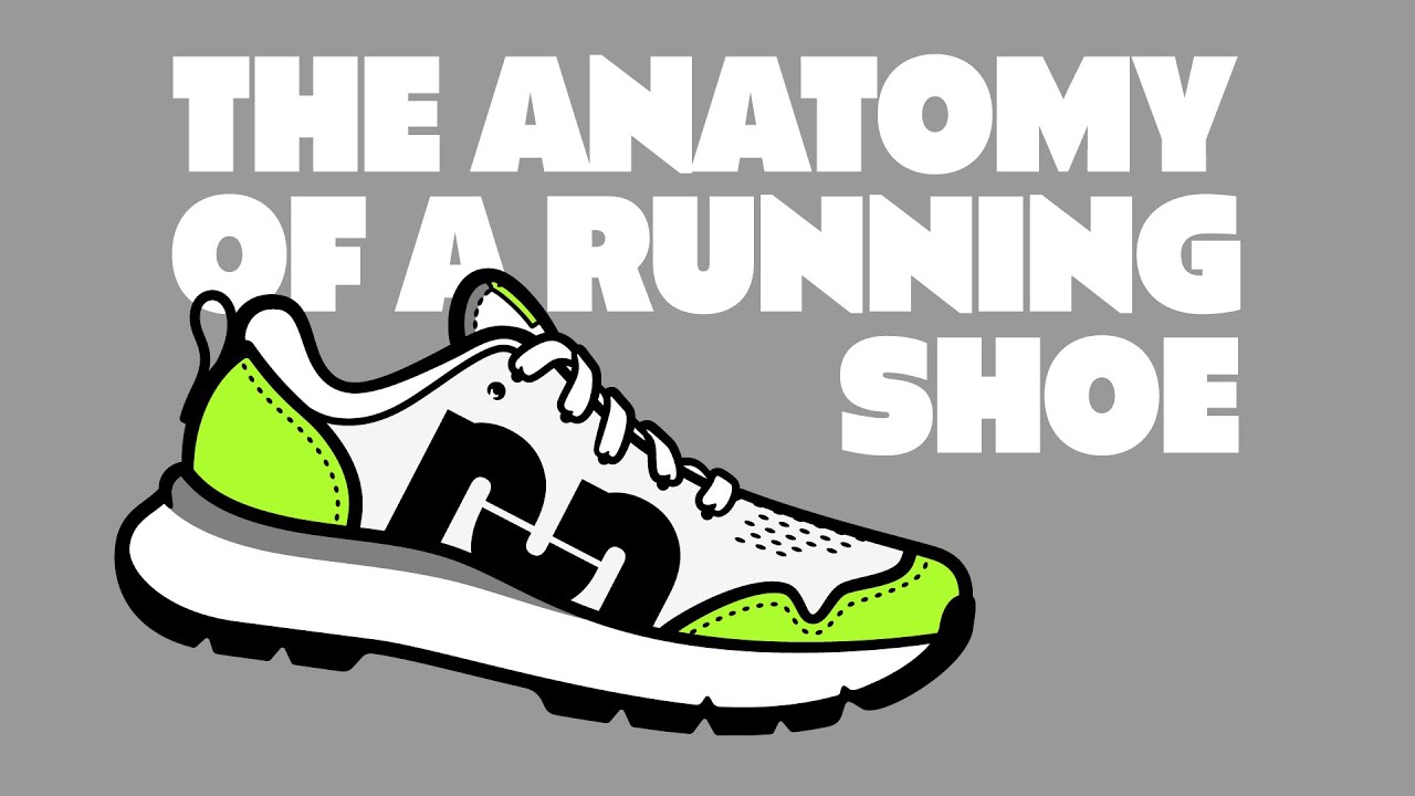 We Break Down Each Part of a Running Shoe