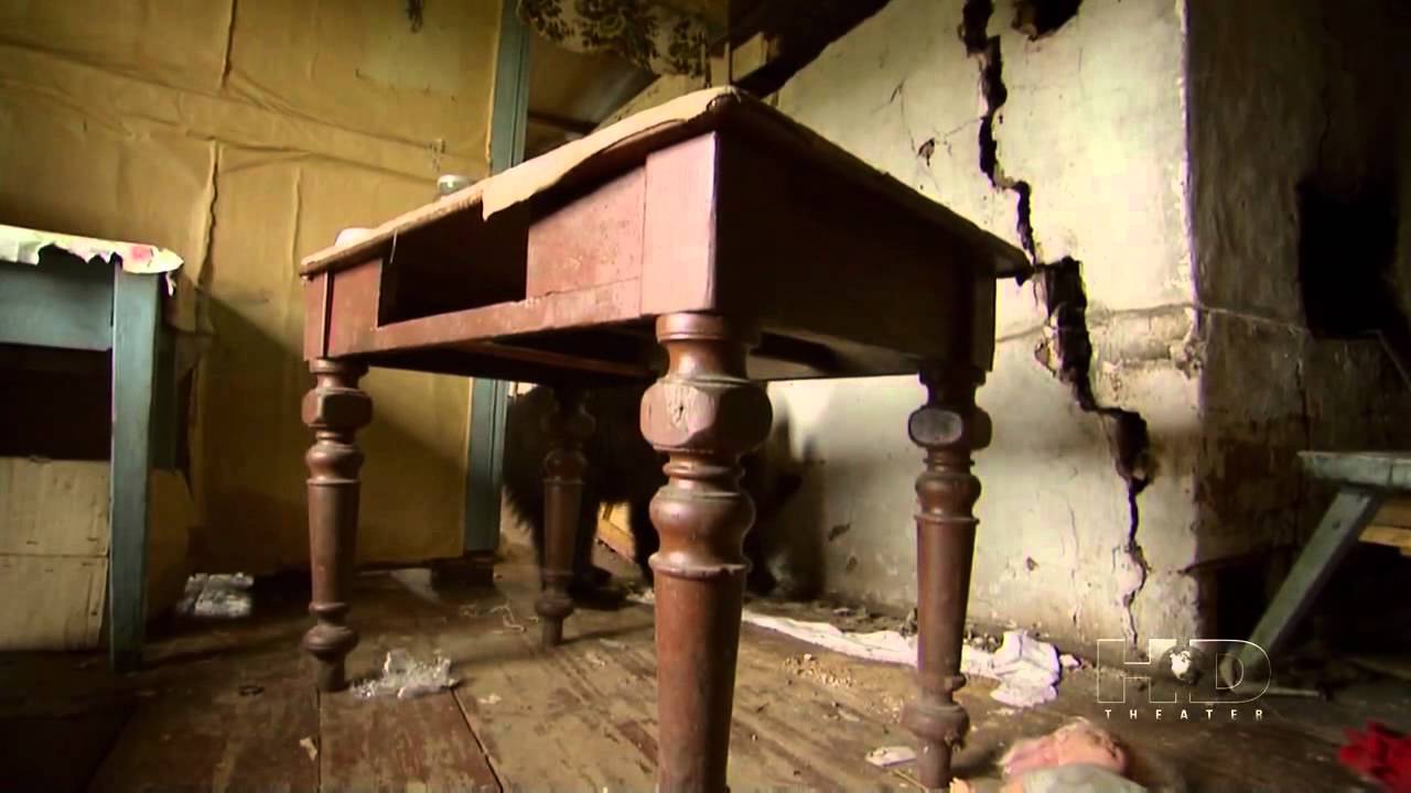 Discovery Channel   Chernobyl   Life In The Dead Zone