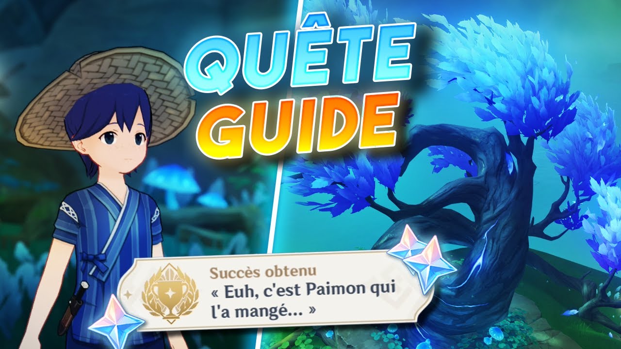 Un auteur vraiment particulier (Quête/Guide) - Genshin Impact Inazuma