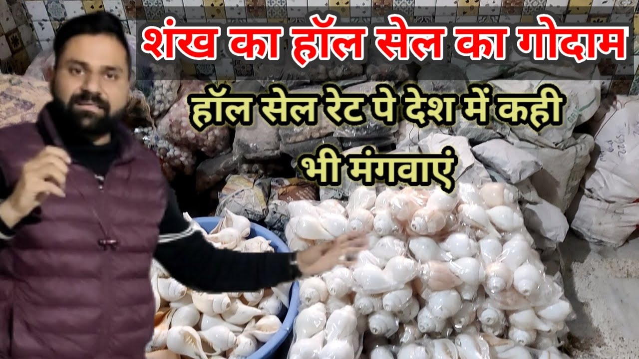 Shankh Wholesale Shop Haridwar|| Shankh Shop Haridwar || Seashell Shop India || Shankh Wholesaler||