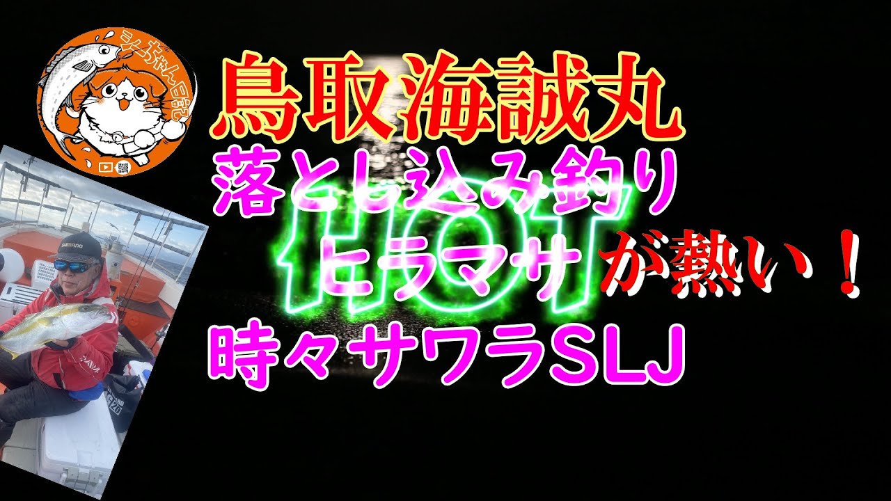 落とし込み釣りヒラマサが熱い！海誠丸　時々サワラSLJ＃ジギング＃落とし込み釣り＃サワラSLJ＃海誠丸