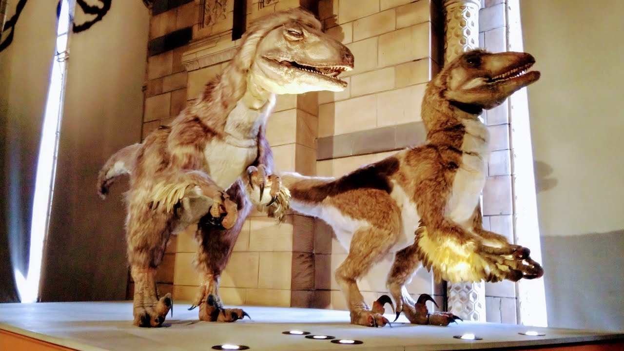 #Natural#history#museum#London#dailyvlog