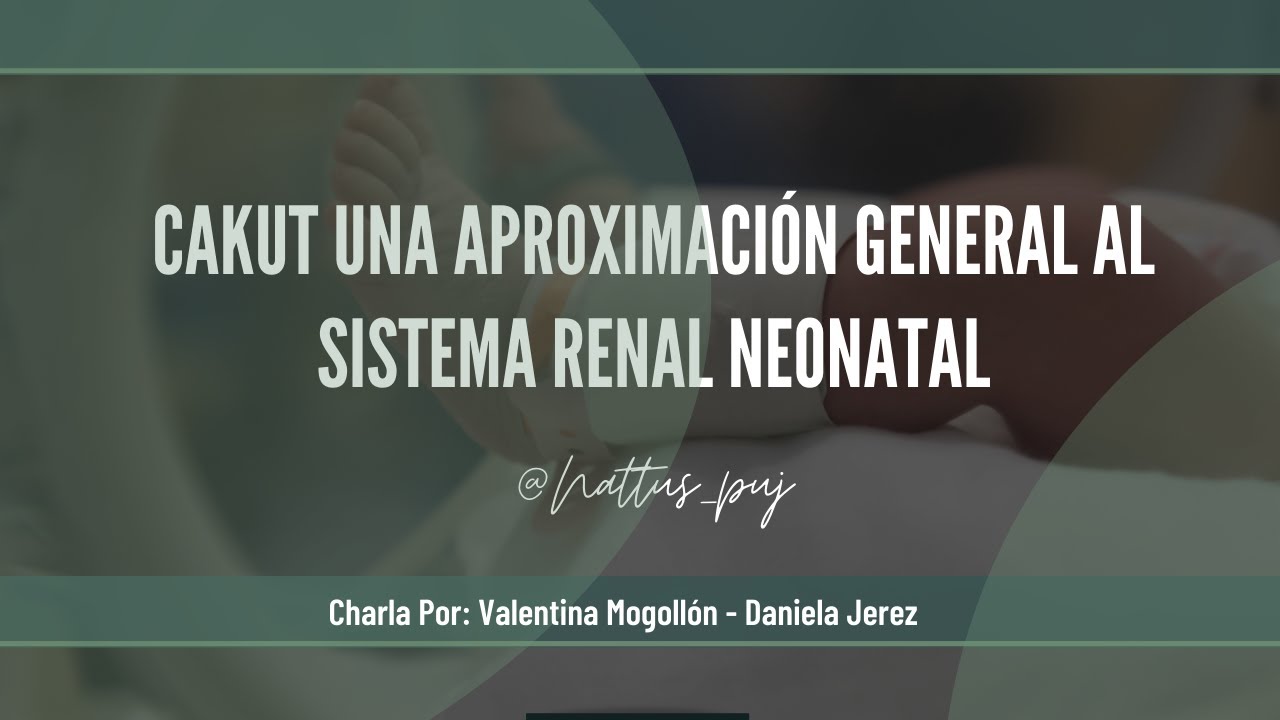 CAKUT  Una aproximación general al sistema renal neonatal.