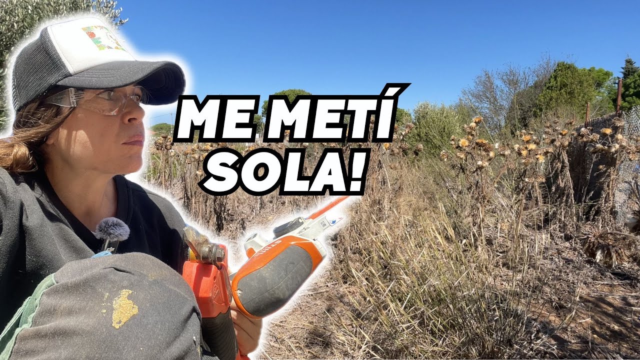 Me meto en OTRA FINCA ABANDONADA y esto es lo que hab&iacute;a. Vlog256