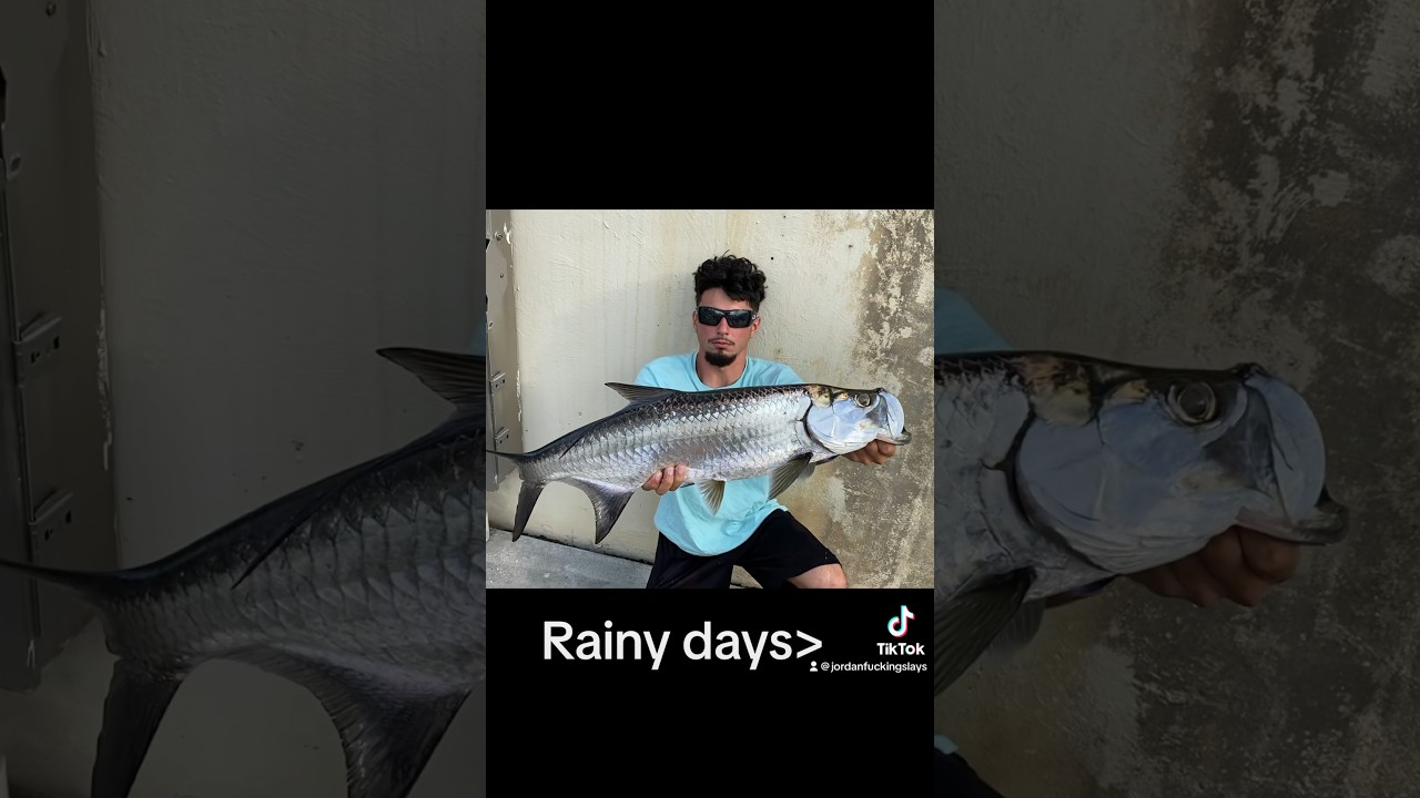 Freshwater tarpon and some bass in Miami 