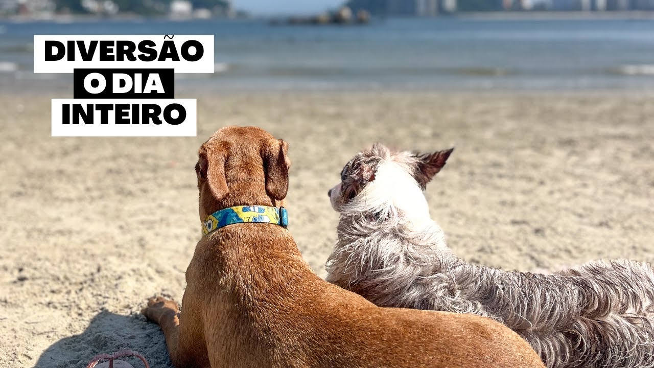 VLOG | Um Dia Inteiro Com A Gente Na Praia + Cuidados