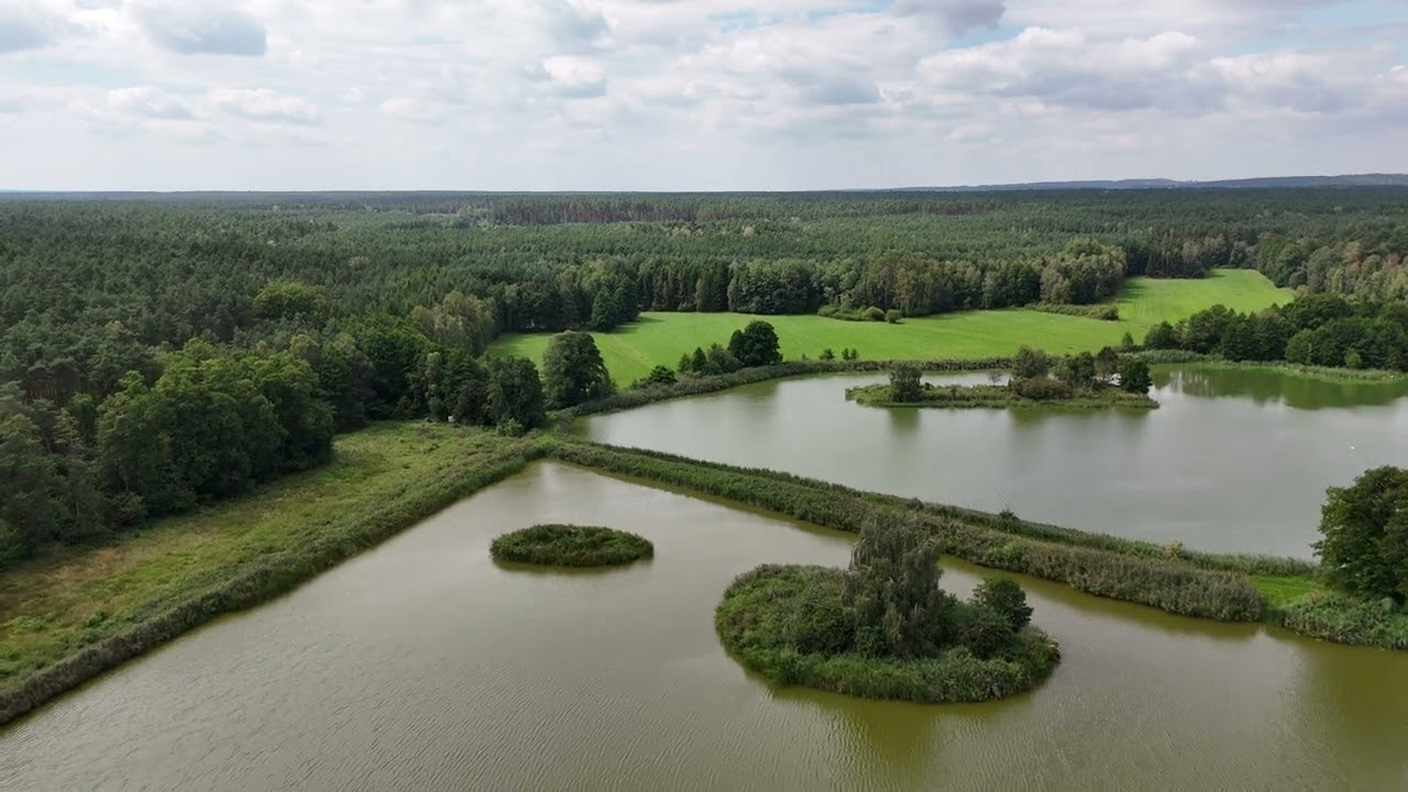 Region Ostrzeszów, (Stawy przy Źródelni koło Malinowa)