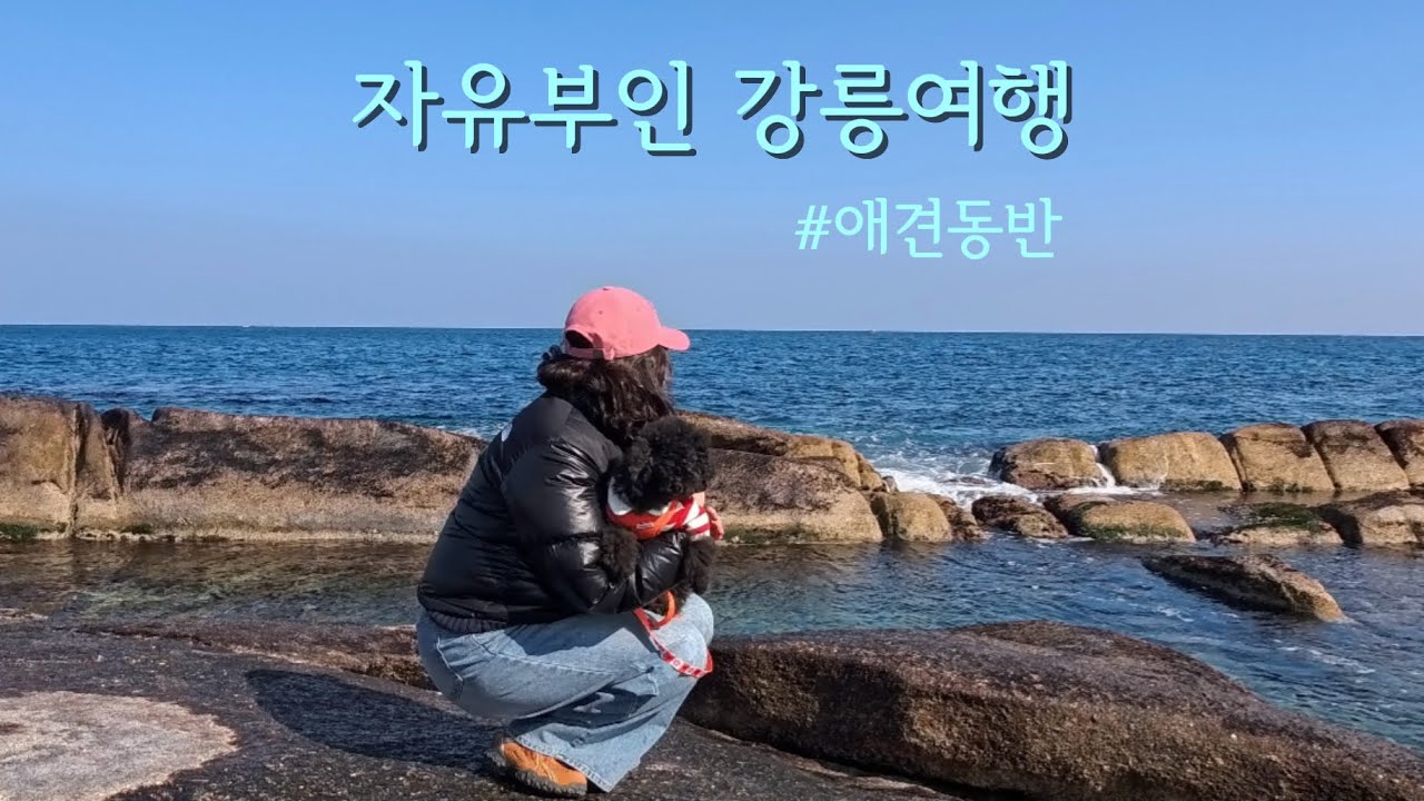 [vlog] 🐶짜장이랑 무작정 떠난 엄마의 일탈 | 강릉 애견동반숙소 | 오션뷰숙소에서 자유시간보내기🥹