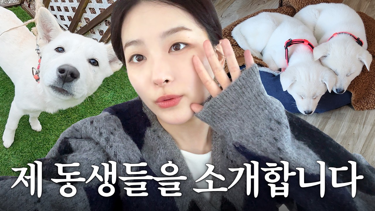 Начало загородной жизни?! SEULGI's Country House Tour 🏡 Munggae & Gureum, семейный дом VLOG