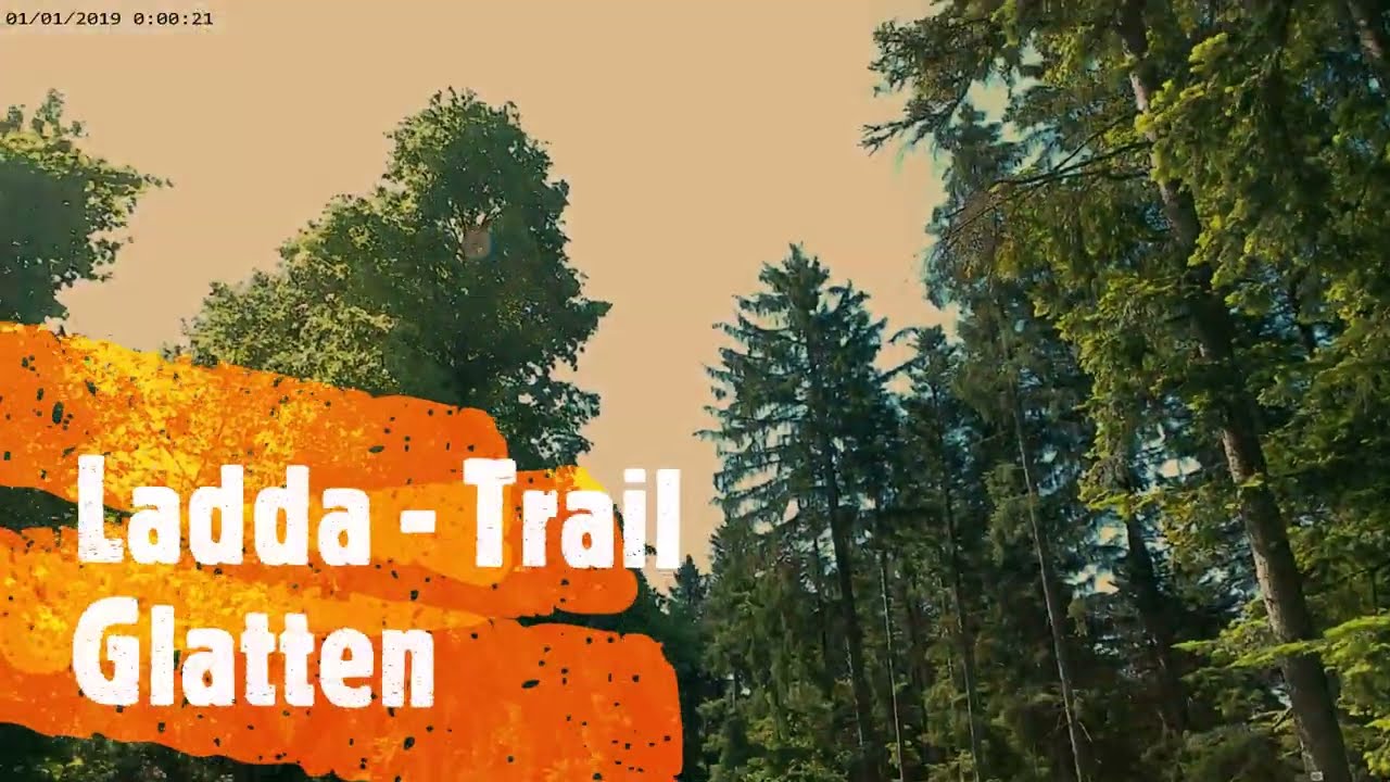 Ladda -Trail Glatten, Abfahrt mit E-MTB