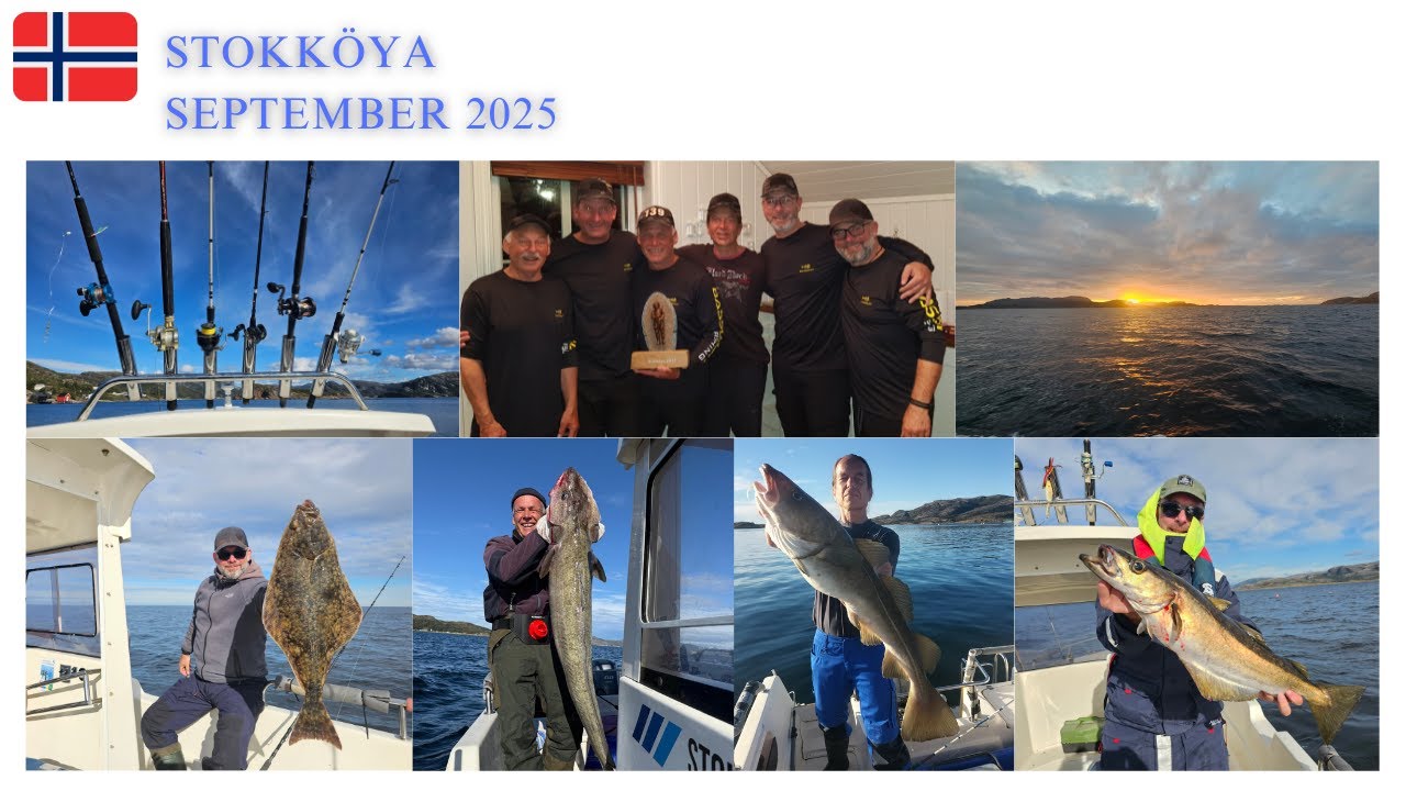 Norway Fishing 2025 -  Region Afjord  -Insel Stokk&ouml;ya