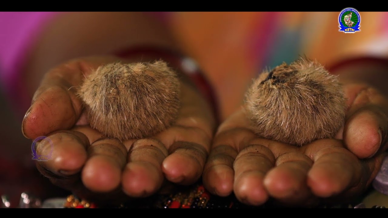 ಹಕ್ಕಿ ಪಿಕ್ಕಿ ಸಮುದಾಯದ ಔಷಧಿ ಪದ್ಧತಿ