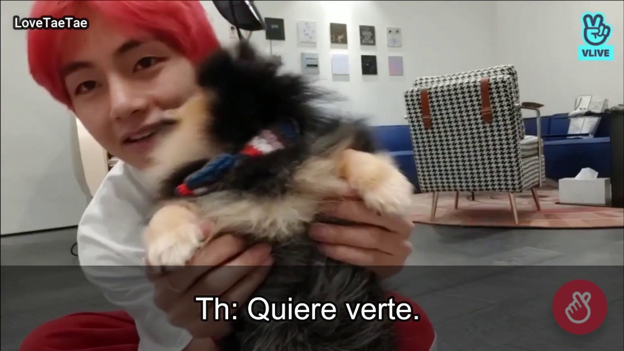 VIDEOLLAMADA CON TAEHYUNG Y YEONTAN | Imagina con Taehyung como tú novio | Parte 3