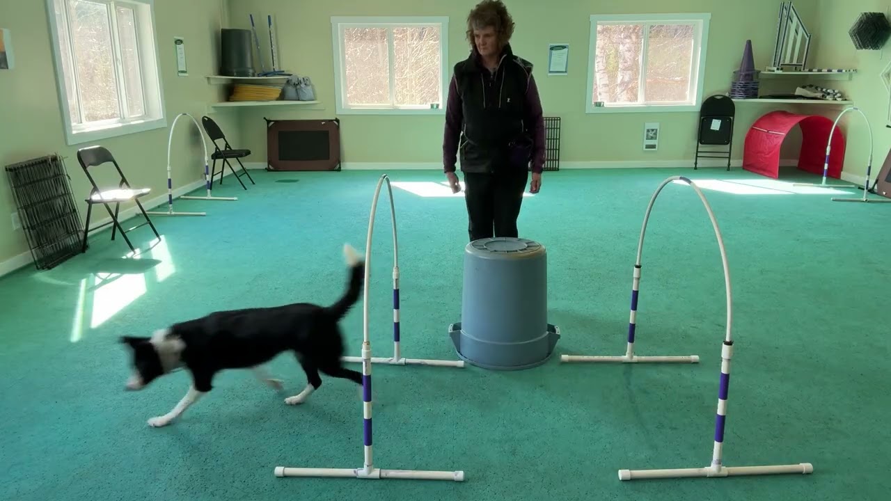2 2 Food Toss with Barrel and Barrel and hoops
