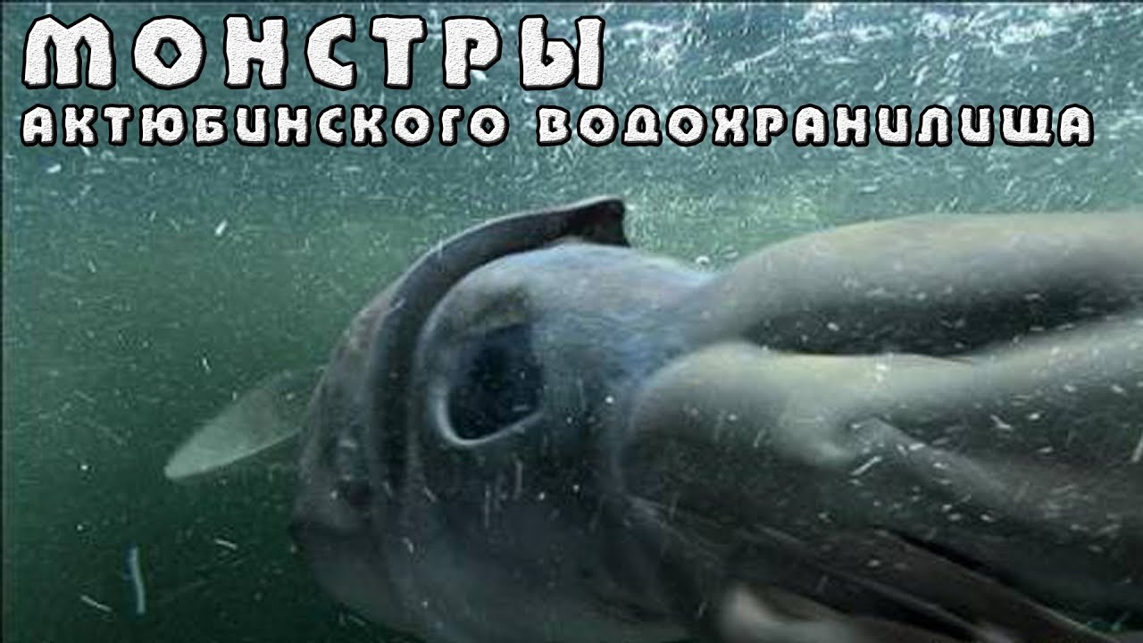 Монстры Актюбинского водохранилища