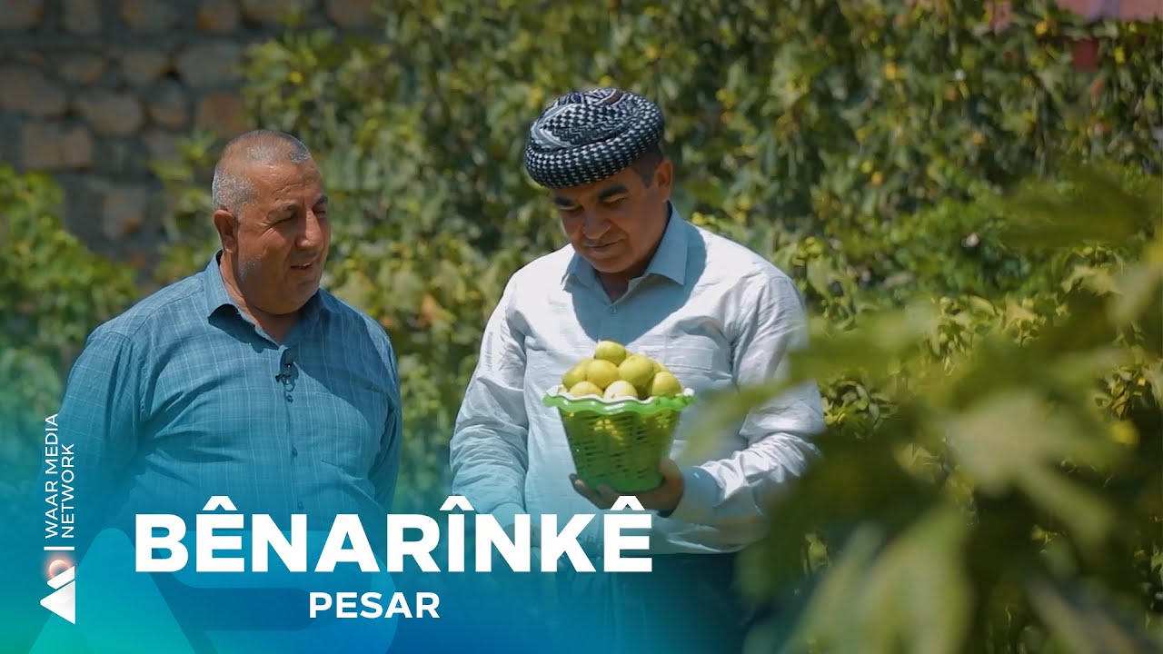 Pesar - Bênarînkê | پەسار- بێنارینکێ