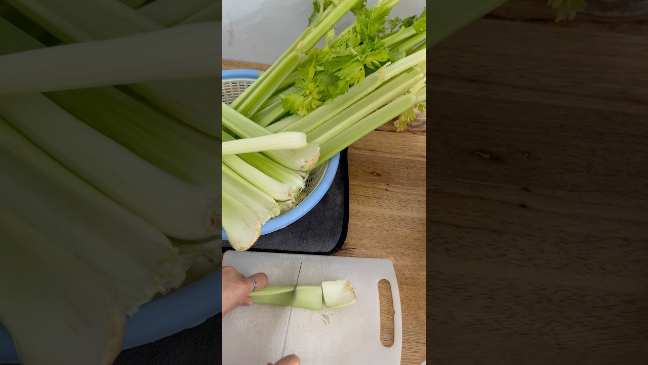 Jus Seledri Obat Asam lambung #jusseledri #seledri #jusasamlambung