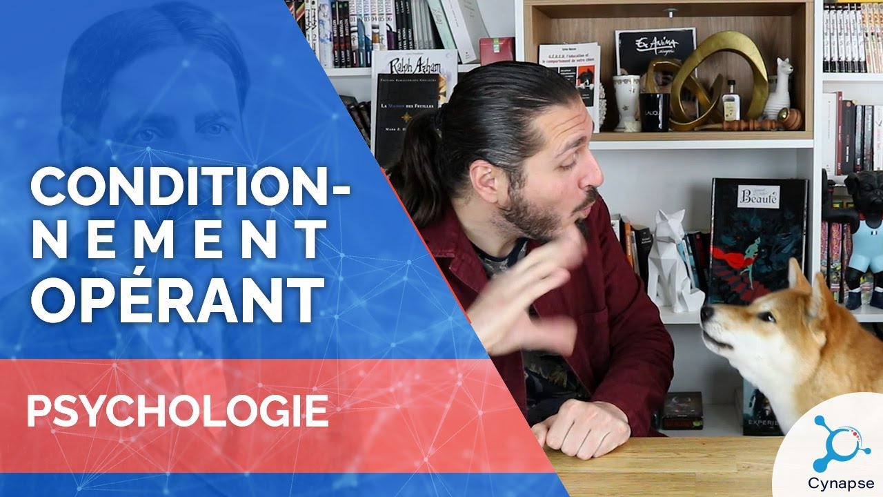 Le conditionnement opérant - PSYCHOLOGIE