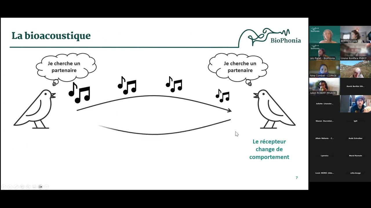 Webinaire formation : acoustique passive