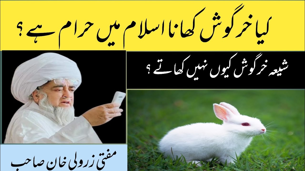 islamic informative video||mufti zarwali khan||am islamic lovers#2023